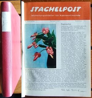 Stachelpost: Mitteilungsblätter für Kakteenfreunde 1968 / 69 3. Jahrg. (Jan. 1967, Heft Nr.11), 4...