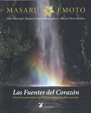 Bild des Verkufers fr Las fuentes del Corazn zum Verkauf von Librera Cajn Desastre