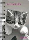 Seller image for Kittens 2013. Taschenkalender Deluxe for sale by Agapea Libros