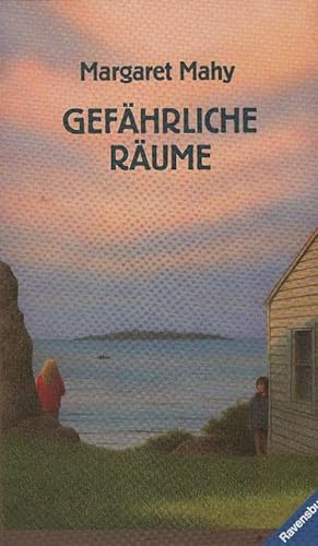 Seller image for Gefhrliche Rume. Aus dem Engl. von Cornelia Krutz-Arnold for sale by Schrmann und Kiewning GbR