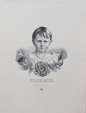 Wilhelmina. Kroon-Prinses der Nederlanden. Lithografie, 31x24cm. Portrait of Wilhelmina, Crownpri...