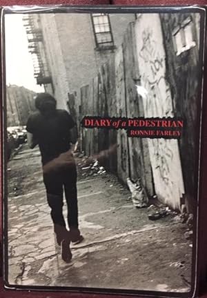 Seller image for Diary of a Pedestrian for sale by Before Your Quiet Eyes