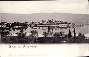 Bild des Verkufers fr Ansichtskarte / Postkarte Rapperswil Jona St. Gallen, Panorama zum Verkauf von akpool GmbH