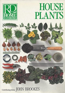 House Plants