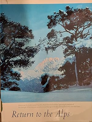 Immagine del venditore per Return to the Alps (Friends of the Earth) venduto da The Book House, Inc.  - St. Louis