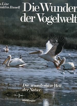 Imagen del vendedor de Die Wunder der Vogelwelt a la venta por Clivia Mueller