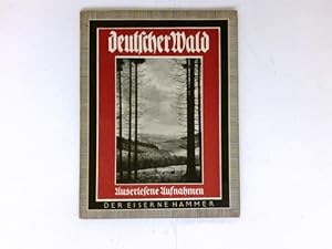 Deutscher Wald in schönen Bildern. Der Eisener Hammer. Auserlesene Naturaufnahmen aus den Ländern...