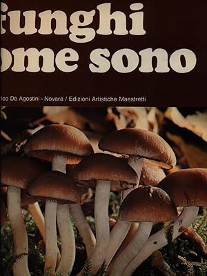 Seller image for I funghi come sono for sale by Miliardi di Parole