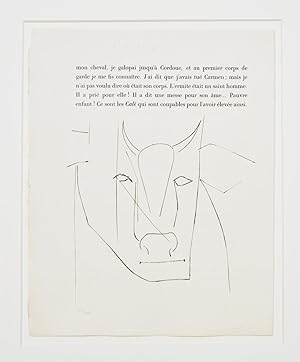 Pablo Picasso, Stierkopf Kaltnadelradierung 1949, 320 Expl.
