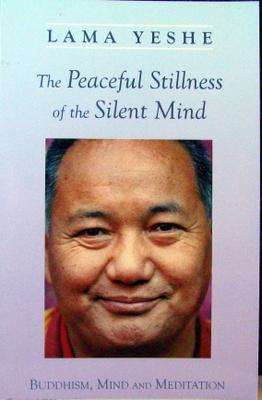 The Peaceful Stillness of the Silent Mind: Buddhism, Mind and Meditation