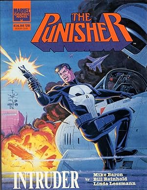 Seller image for The Punisher: Intruder for sale by Recycled Books & Music