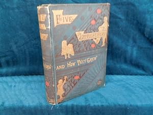 Seller image for Five Little Peppers and How They Grew for sale by Graver & Pen Rare Books