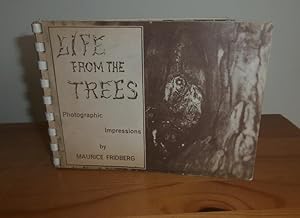 Imagen del vendedor de Life from the trees a la venta por Kelleher Rare Books