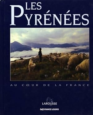 Immagine del venditore per Les Pyr?n?es - Camille Fambon venduto da Book Hmisphres