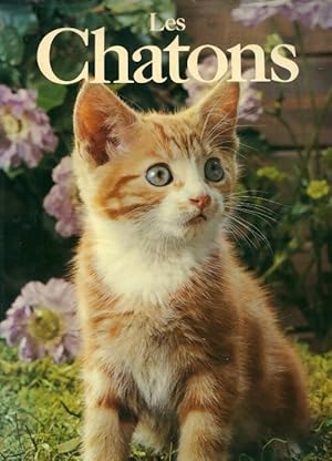 Seller image for Les chatons - Angela Sayer for sale by Book Hmisphres