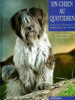 Image du vendeur pour Un chien au quotidien - Collectif mis en vente par Book Hmisphres