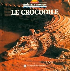 Le crocodile - Angeles Julivert