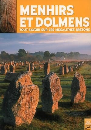Menhirs et dolmens - H l ne Vincent-Pichancourt