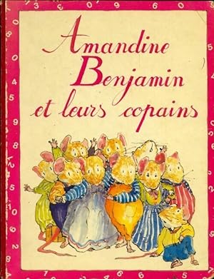 Image du vendeur pour Amandine, Benjamin et leurs copains - Claire Niquet mis en vente par Book Hmisphres