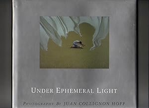 UNDER EPHEMERAL LIGHT