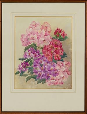 Sylvia B. Roberts - Signed & Framed Mid 20th Century Watercolour, Floral Study