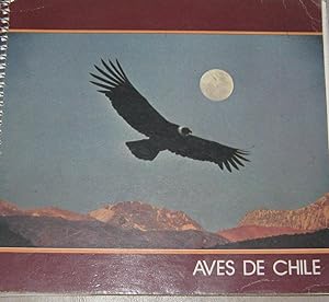 Imagen del vendedor de Aves de Chile/Birds of Chile a la venta por Librera Monte Sarmiento