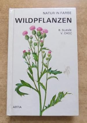 Wildpflanzen.