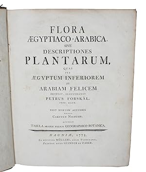 Flora Ægyptiaco-Arabica. Sive Descriptiones Plantarum, quas per Ægyptum Inferiorem et Arabiam Fel...