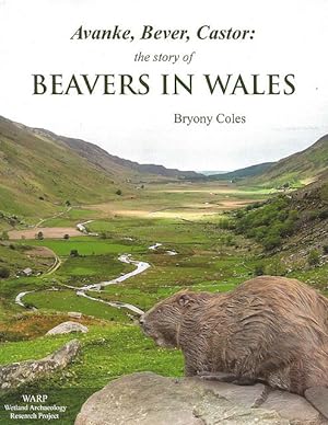 Seller image for Avanke, Bever, Castor : the story of Beavers in Wales. for sale by C. Arden (Bookseller) ABA