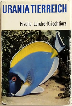 Seller image for Urania Tierreich: Fische Lurche Kriechtiere; for sale by Peter-Sodann-Bibliothek eG