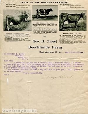 1904 Letter on Geo H Sweet Beechlands Farm Letterhead, Aurora, New York, Featuring Champion Jerse...