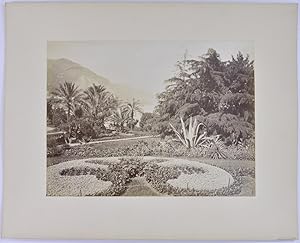Fotografie Fotograf unbekannt, Ansicht Monaco-Monte-Carlo, Park, gepflegte Gartenanlage, Grossfor...