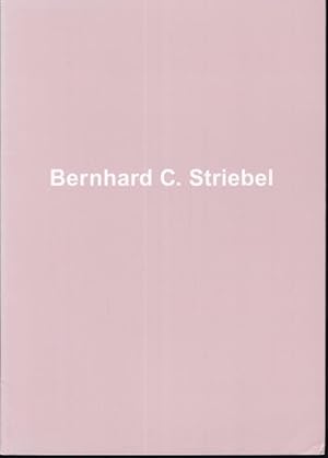 Seller image for Berhard C. Striebel for sale by Graphem. Kunst- und Buchantiquariat