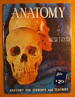 Anatomy