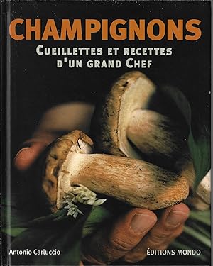 Champignons cueillettes et recettes d'un grand chef