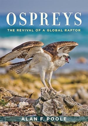 Image du vendeur pour Ospreys : The Revival of a Global Raptor mis en vente par GreatBookPrices