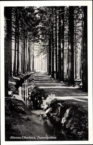 Bild des Verkufers fr Ansichtskarte / Postkarte Altenau Clausthal Zellerfeld im Oberharz, Dammgraben zum Verkauf von akpool GmbH