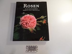 Bild des Verkufers fr Rosen. Alte & botanische Rosen. zum Verkauf von Druckwaren Antiquariat