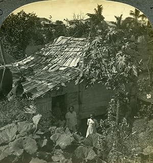 Seller image for Puerto Rico cabin in jungle at Byamas Old Keystone View Stereoview Photo 1900 for sale by Bits of Our Past Ltd