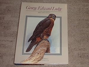 George Edward Lodge : Unpublished Bird Paintings