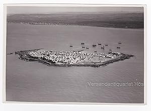 Syrien Insel Arwad / Aruad vor Tartus Luftbild Originalfoto um 1930