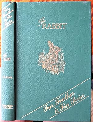 The Rabbit