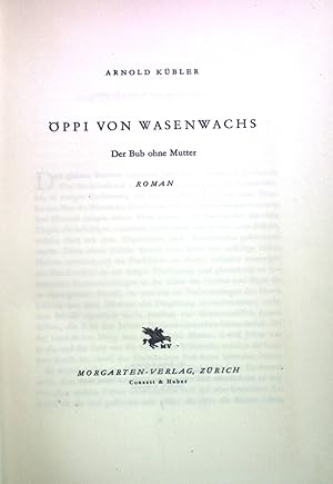 Imagen del vendedor de ppi von Wasenwachs: Der Bub ohne Mutter. a la venta por books4less (Versandantiquariat Petra Gros GmbH & Co. KG)