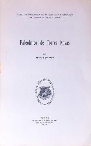 PALEOLÍTICO DE TORRES NOVAS.