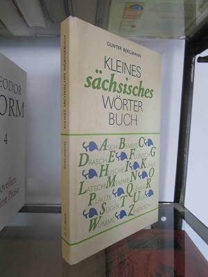 Bild des Verkufers fr Kleines schsisches Wrterbuch. zum Verkauf von Antiquariat Maralt