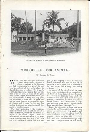 Bild des Verkufers fr Workhouses for Animals (The Windsor Magazine (1901) Vol. XIV [14], pp. 677-682) zum Verkauf von Bookfeathers, LLC