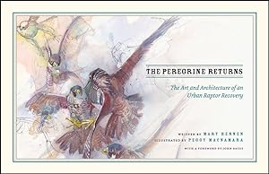 Seller image for Peregrine Returns : The Art and Architecture of an Urban Raptor Recovery for sale by GreatBookPrices
