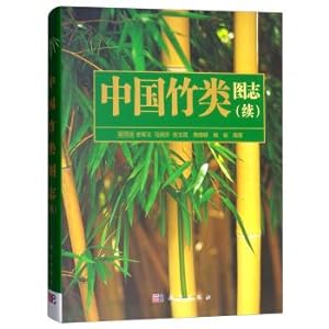Seller image for Chinese Bamboo Maps (Continued)(Chinese Edition) for sale by liu xing