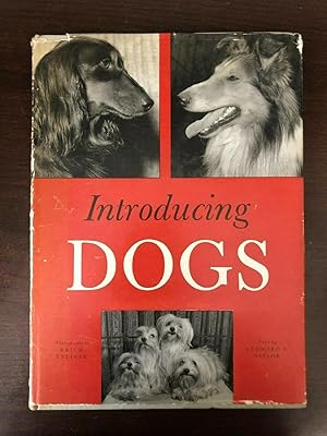 Bild des Verkufers fr INTRODUCING DOGS zum Verkauf von Happyfish Books