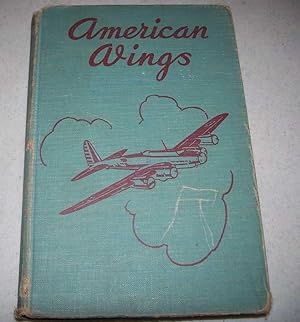 Immagine del venditore per American Wings: Modern Aviation for Everyone venduto da Easy Chair Books